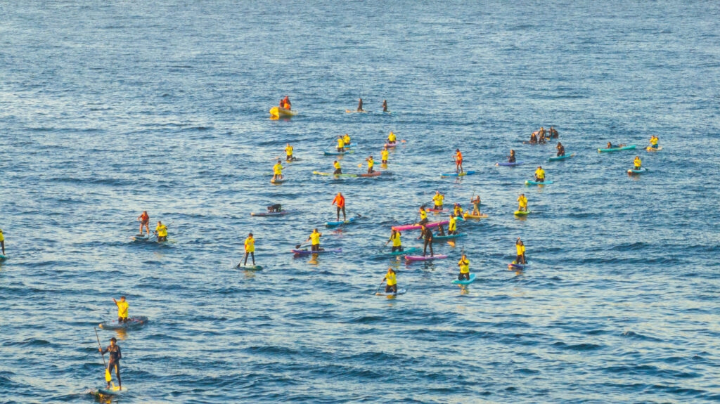 supfest2026-5